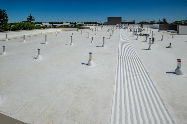 Best Gutter Installation and Repair  in Colquitt, GA